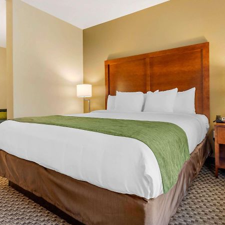Comfort Inn & Suites Флорънс Екстериор снимка