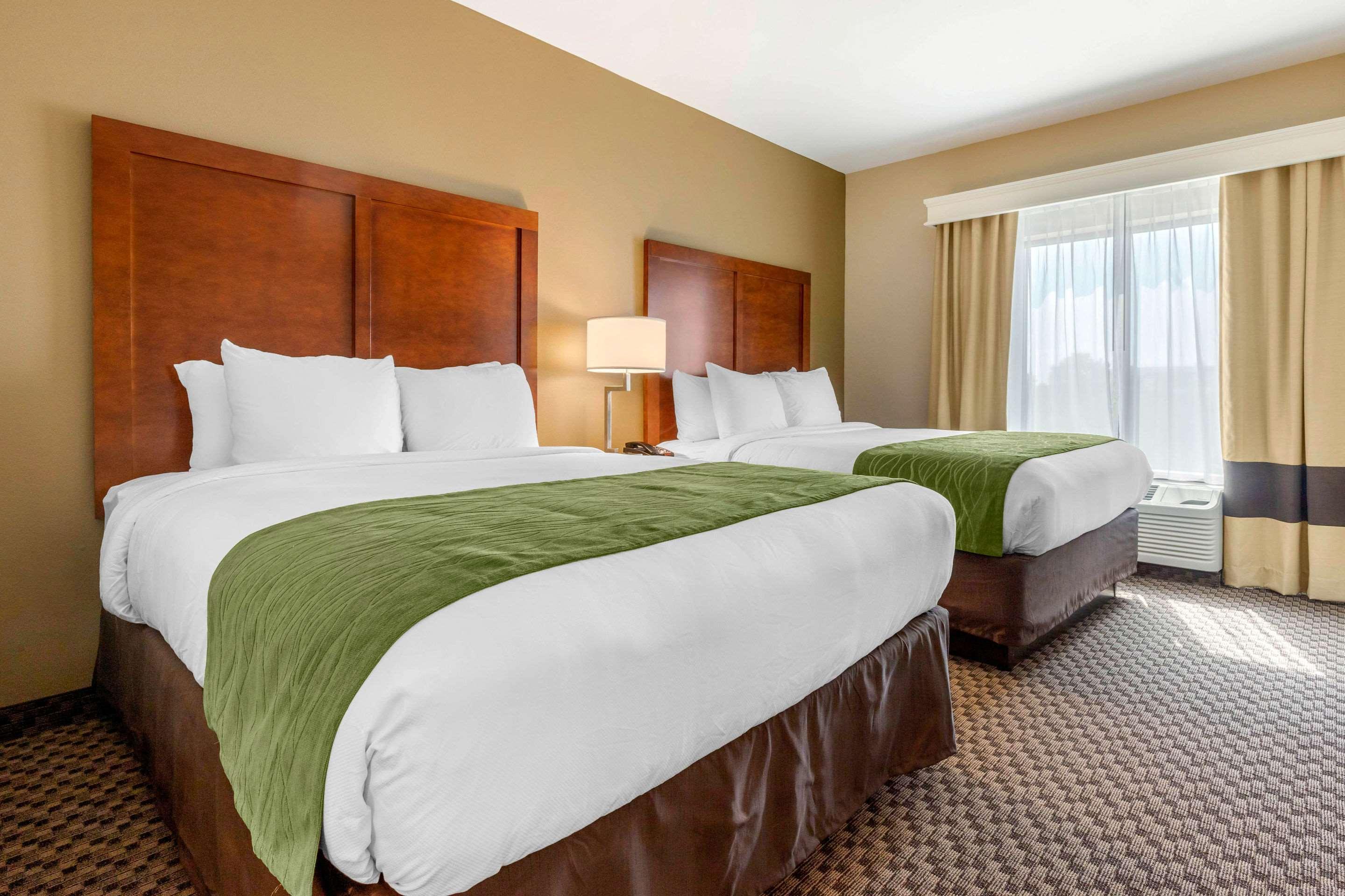 Comfort Inn & Suites Флорънс Екстериор снимка