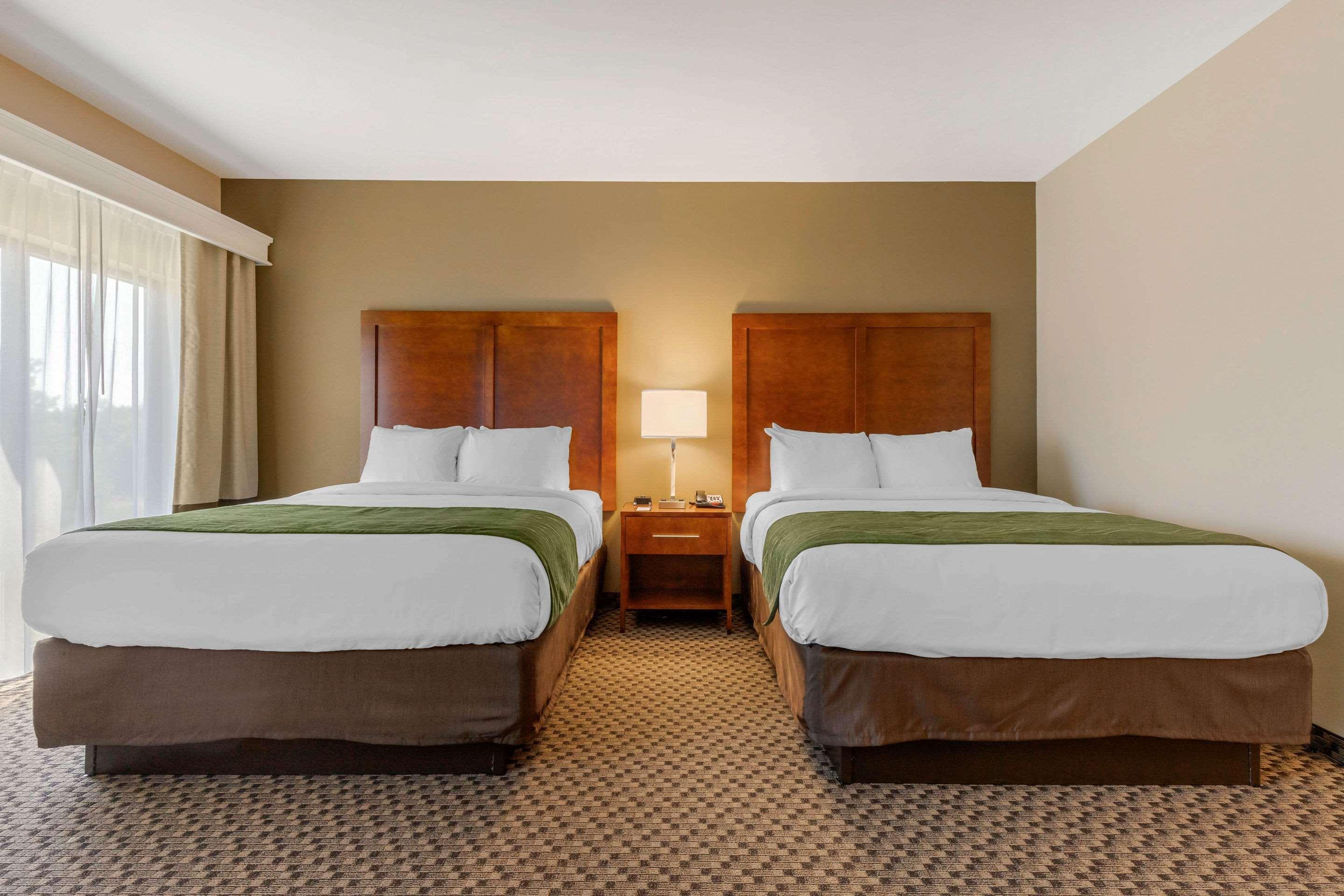 Comfort Inn & Suites Флорънс Екстериор снимка