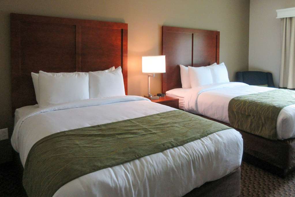 Comfort Inn & Suites Флорънс Стая снимка